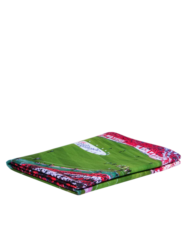Покрывало Allianz Arena