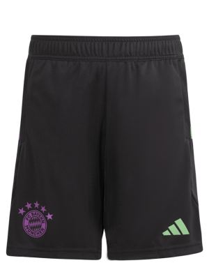 Шорты тренировочные Teamline