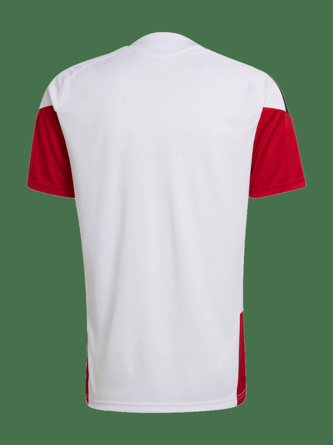 Тренировочная футболка унисекс DFB Home