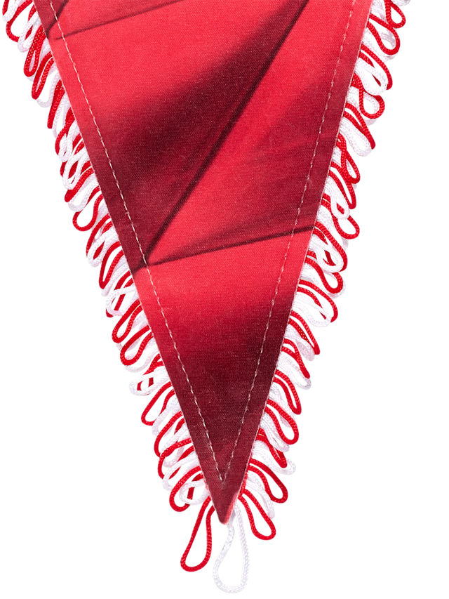 Вымпел Mia san mia