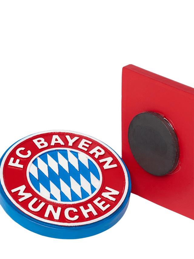 Магнит Logo & MSM, 2шт