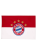 Флаг 5 Sterne Logo, 180X120см