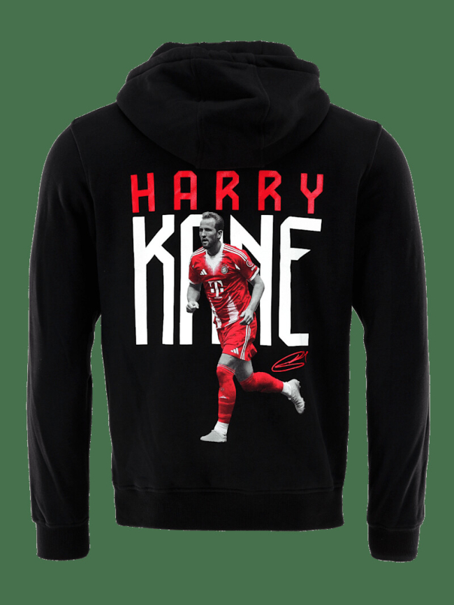 Толстовка унисекс Kane