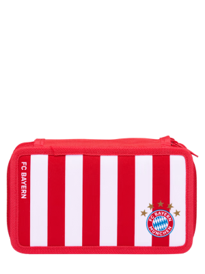 Школьный пенал, большой