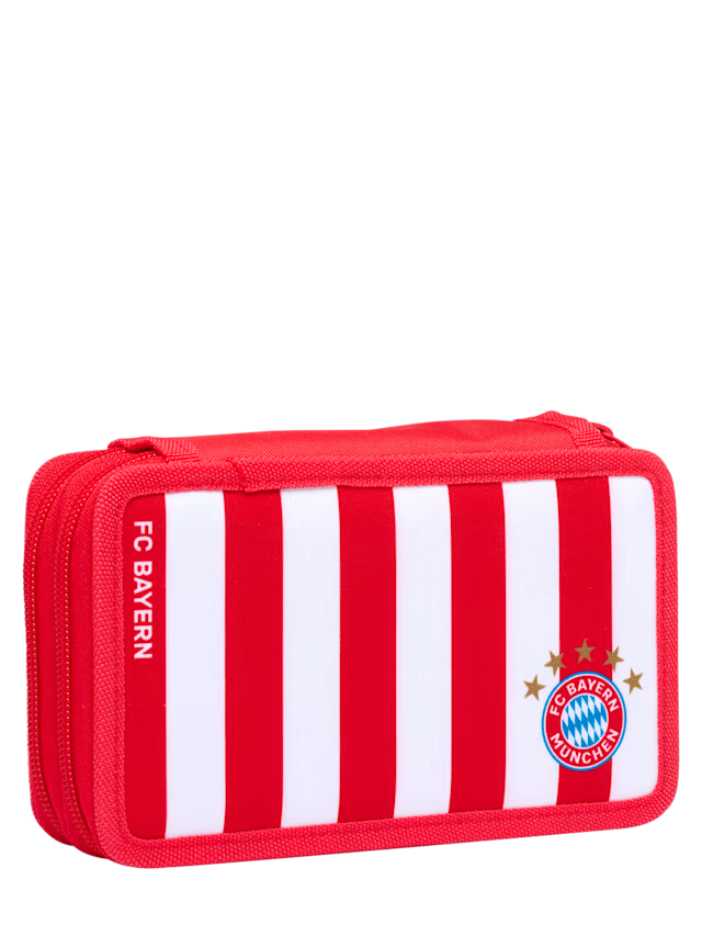 Школьный пенал, большой