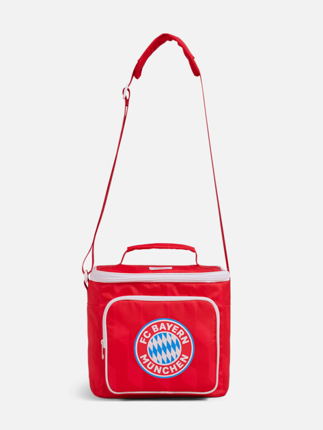 Сумка-холодильник Сумка-холодильник