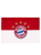 Флаг 5 Sterne Logo